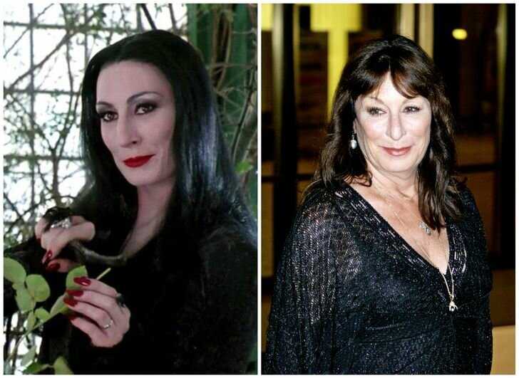 The addams family