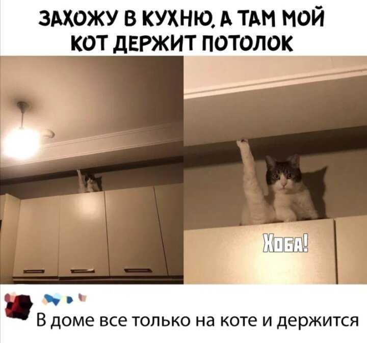 Ип микеладзе галина викторовна (oгрн 308262823500018, инн 262801684092) —  реквизиты,  контакты,  рейтинг