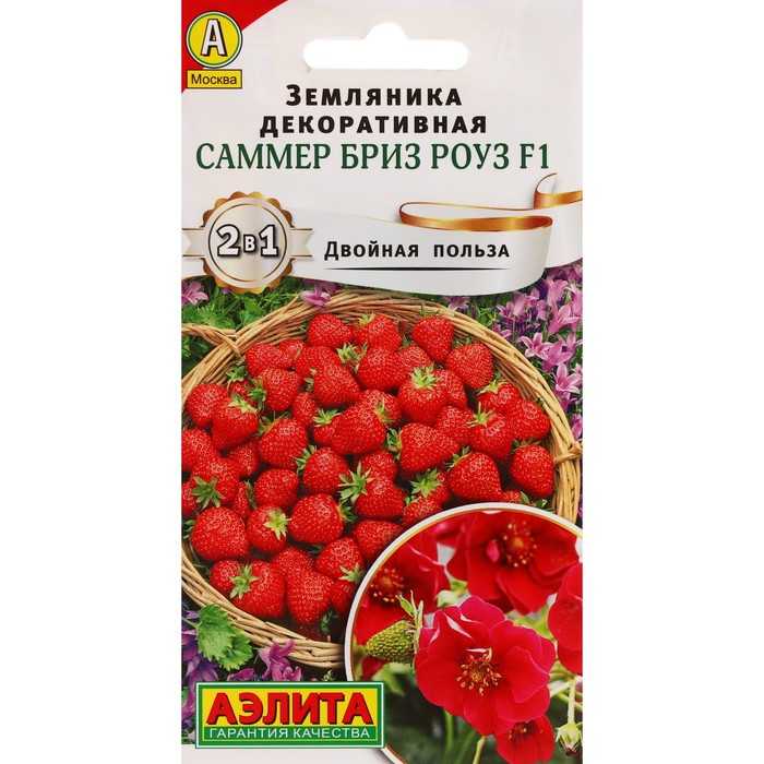 Клубника саммер бриз: характеристика сорта, правила посадки, уход