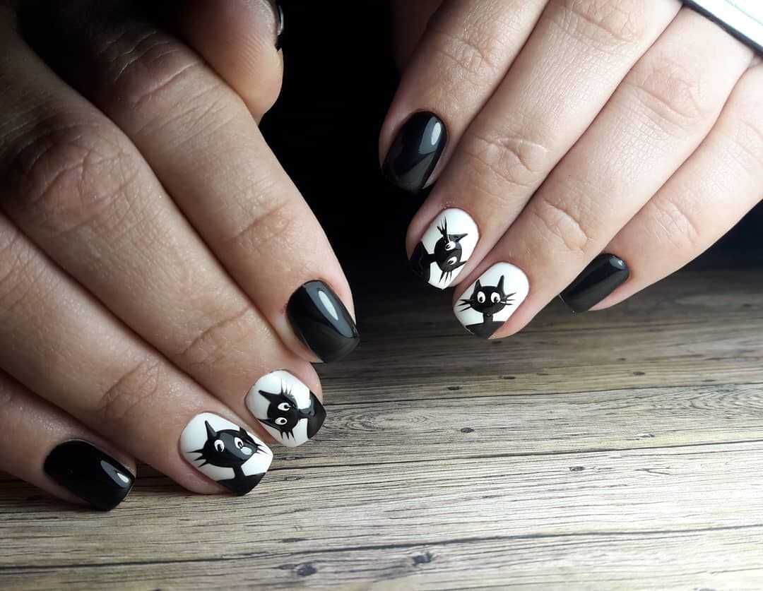 Дизайн ногтей с кошками и котятами: модные идеи, фото, видео