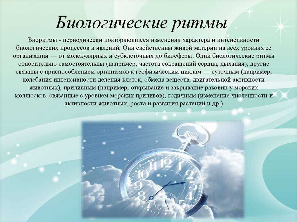 Самира армстронг
