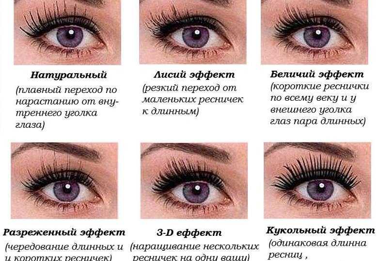 Наращивание ресниц: классика. описание процедуры, фото до и после - luv.ru