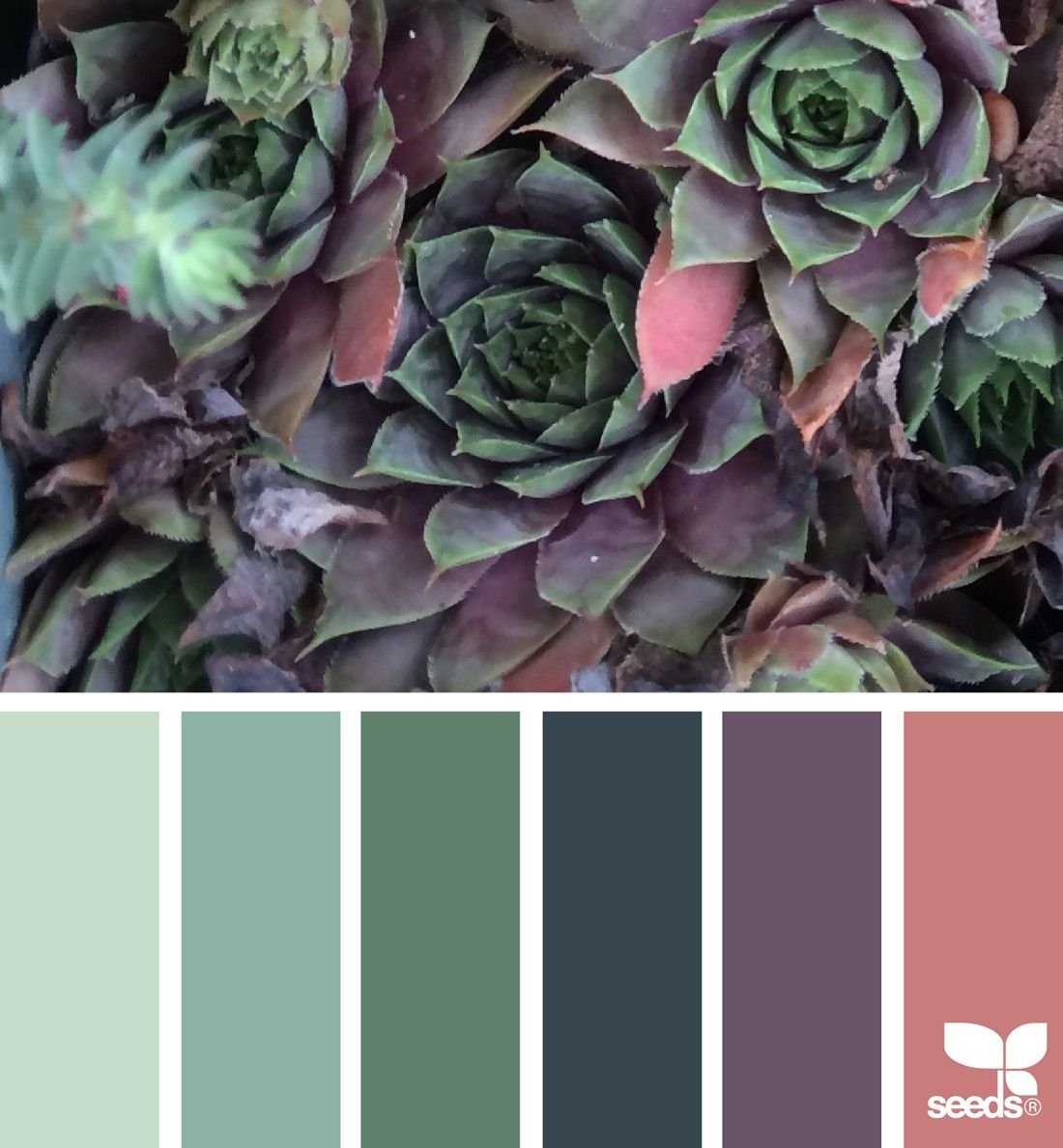 Модные сочетания 2016 | lookcolor