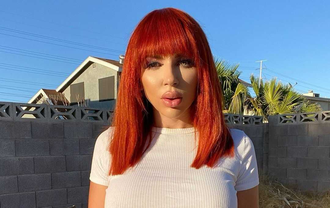 Amanda nicole - net worth 2022/2021, salary, age, height, bio, wiki