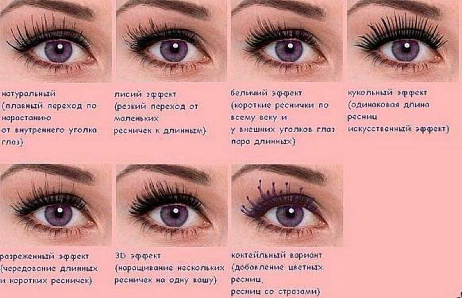 Наращивание ресниц: виды и эффекты (беличий, лисий, кошачий, ким кардашьян, кукольный, кайли, лучики, подводка) | lifepodium