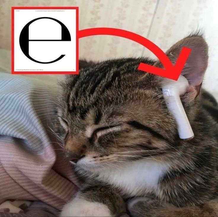 Рева дарья